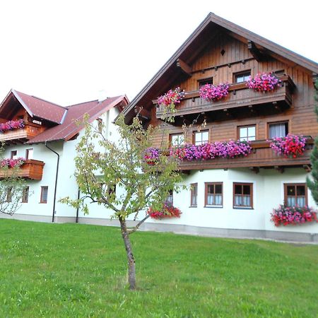 Pension Thorerhof Haus im Ennstal Exteriör bild