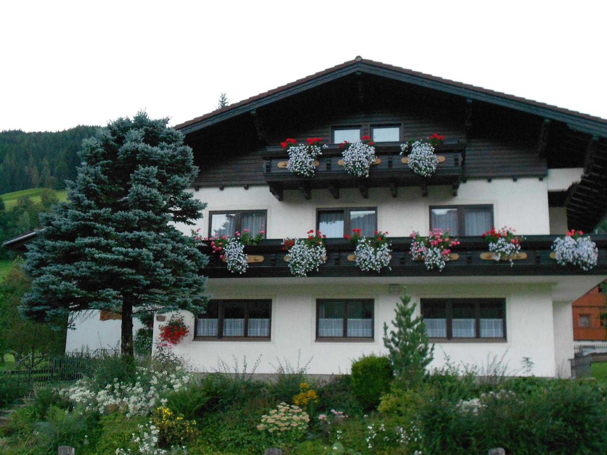Pension Thorerhof Haus im Ennstal Exteriör bild